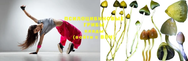 круглые Алексеевка