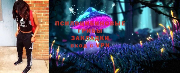 круглые Алексеевка