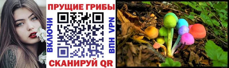 Галлюциногенные грибы ЛСД Невьянск